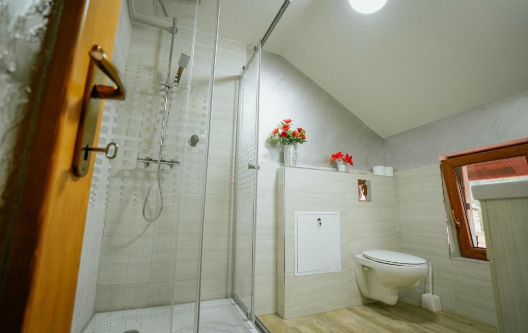 Casa Daviden Hotel Moisei Bagian luar foto